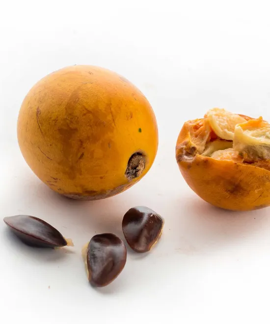 Nutritious Choices, Delivered Fresh
