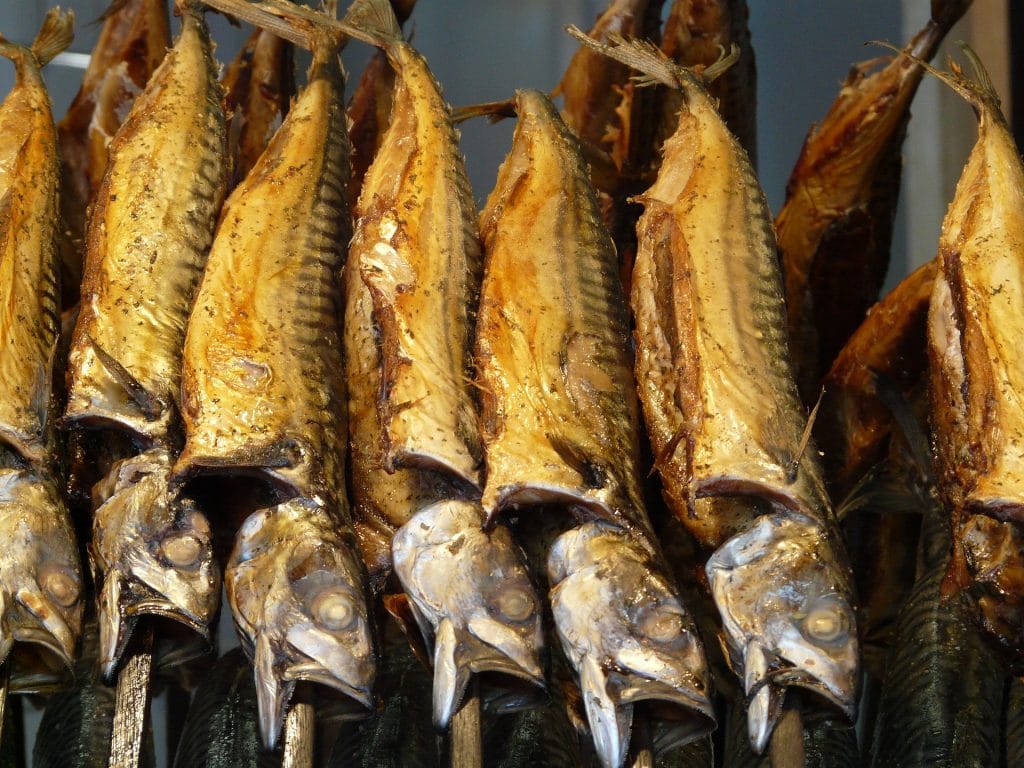Fresh Meat & More